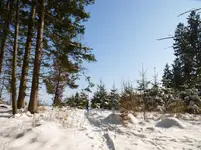 P1190799.webp