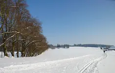 P1190894-a.webp