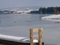 P1200900.webp