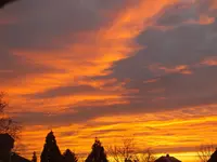 DSCF9459.jpg
