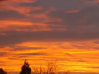 DSCF9447.webp