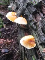001_450x600.webp