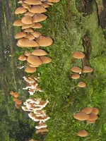 007_600x800.webp