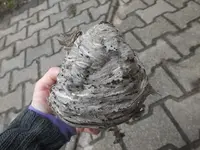 DSCF6828.webp