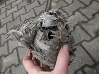 DSCF6829.webp