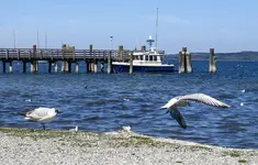 IMG_3130-2.webp