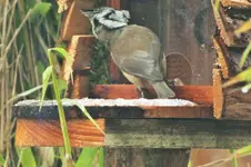 DSCF4769 (2).webp