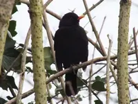 DSCF6831.webp