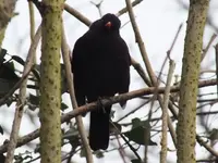 DSCF6833.webp