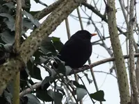 DSCF6853.webp
