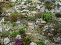 Bei_Bachlauf_27.04.2013_.jpg