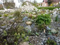 Blick_über_Bachlauf_27.04.2013_.webp