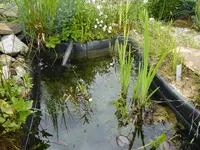 Teich 23.05.2014.jpg