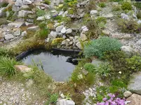 Teich mit Bachlauf_21.04.2014.jpg
