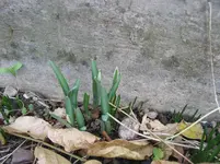 022.webp