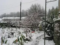 003.webp