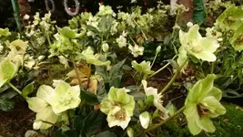 Bilda033.webp