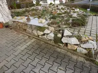 P1040327.webp