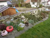 P1040328.webp