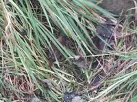 DSCF6916.webp
