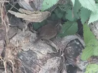 DSCF6921.webp