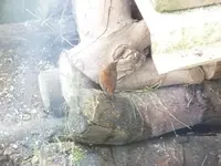 DSCF6925.webp