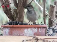DSCF6862.webp