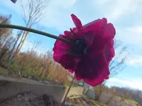 DSCF6953.webp