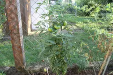 IMG_8162.webp