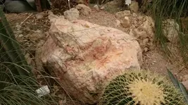 Bilda058.jpg