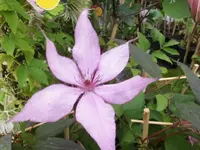 Bilda133.webp