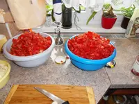SDC11913.webp