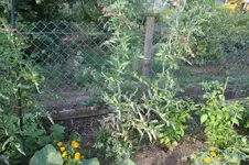 IMG_8157.webp