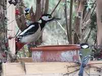 DSCF6967.webp