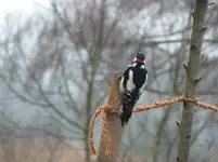 DSCF6972.webp