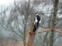 DSCF6973.webp