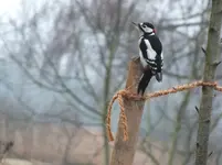 DSCF6975.webp