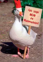 713230338_5425.webp