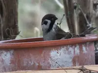 DSCF6981.webp