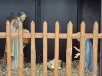 image.jpg