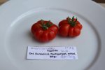 IMG_7557.jpg