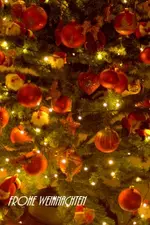 _MG_9965.webp