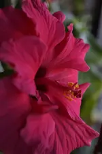_DSC9639.webp