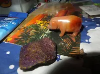 DSCF9190.webp