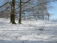 DSCN6985.webp