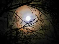2015-Weihnachtsmond_004.jpg