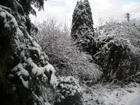 DSCN6488.webp