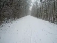 DSCN0712.webp