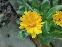 CIMG1745.webp