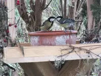 DSCF6988.webp